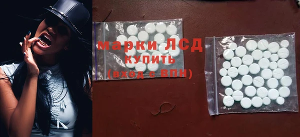 хмурый Лагань
