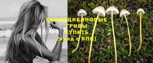 прущие крисы Майский