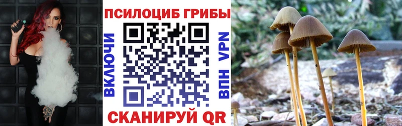 Купить закладки  Балахна  Псилоцибиновые грибы Magic Shrooms 